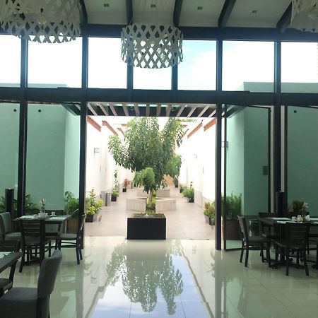 Marialicia Suites, Hotel Boutique Oaxaca Dış mekan fotoğraf