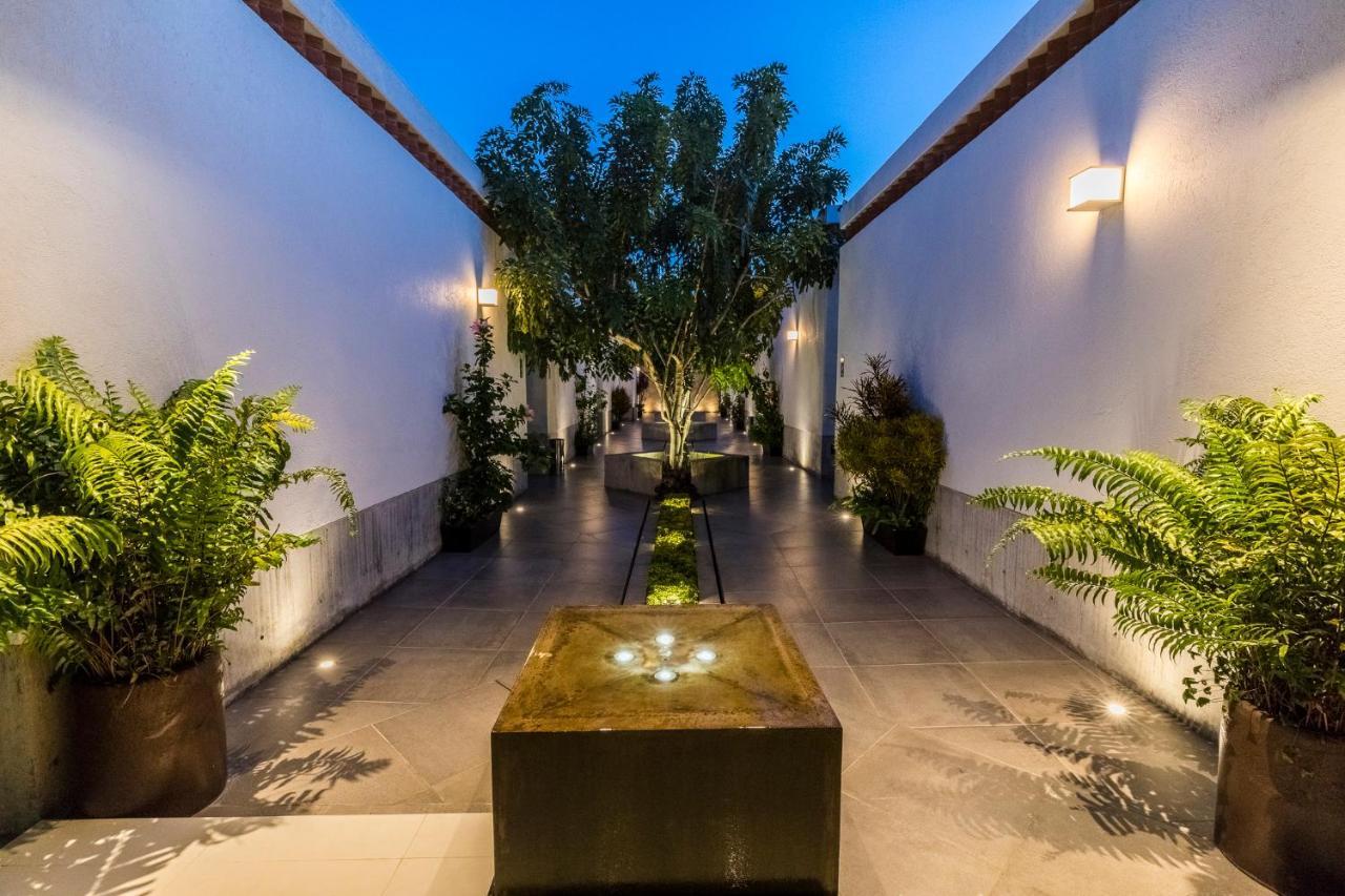 Marialicia Suites, Hotel Boutique Oaxaca Dış mekan fotoğraf